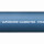 Vaporcord ALIM/EXTRA Lebensmittelschlauch Reinigungsschlauch Dampfschlauch blau/weiß (Meterware) 38mm (1 1/2")