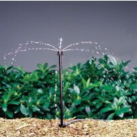 Rain Bird Mikro-Spr&uuml;her mit Erdspie&szlig; SXB/XS