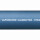 Vaporcord ALIM/EXTRA Lebensmittelschlauch Reinigungsschlauch Dampfschlauch blau/weiß (Meterware) 10 mm (3/8")